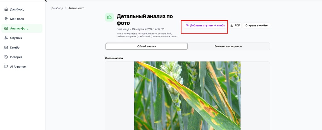 В веб-кабинете: в детальном анализе по фото нажмите «Добавить спутник → комбо».