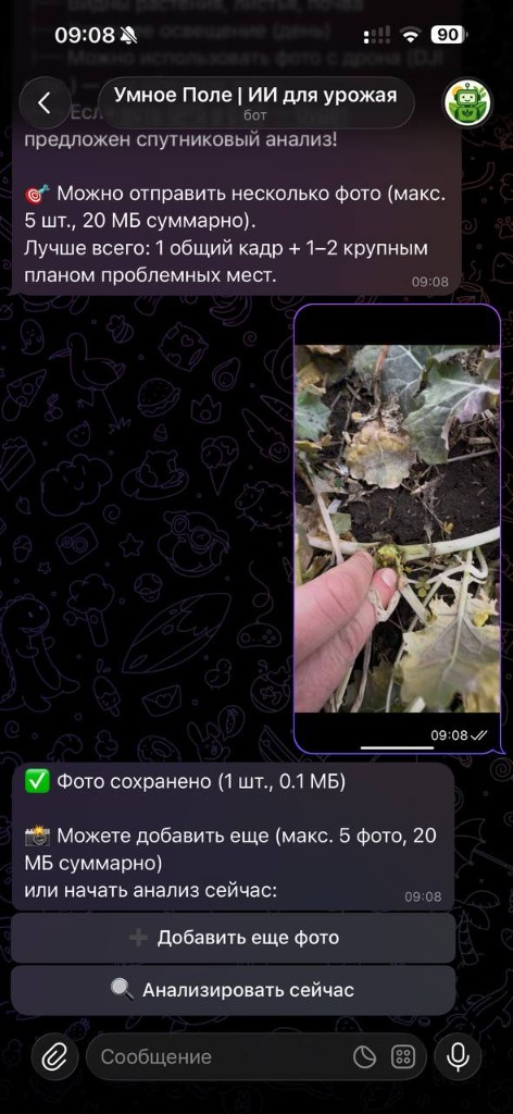 Несколько фото: в боте («Добавить еще фото») и в веб-кабинете (выбранные фото перед запуском анализа). 1