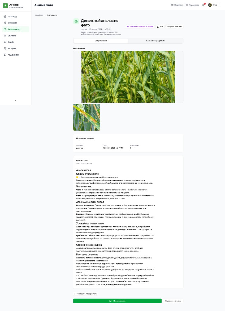 Пример отчёта в веб-кабинете: общий статус, что выявлено, рекомендации и итоговое решение.